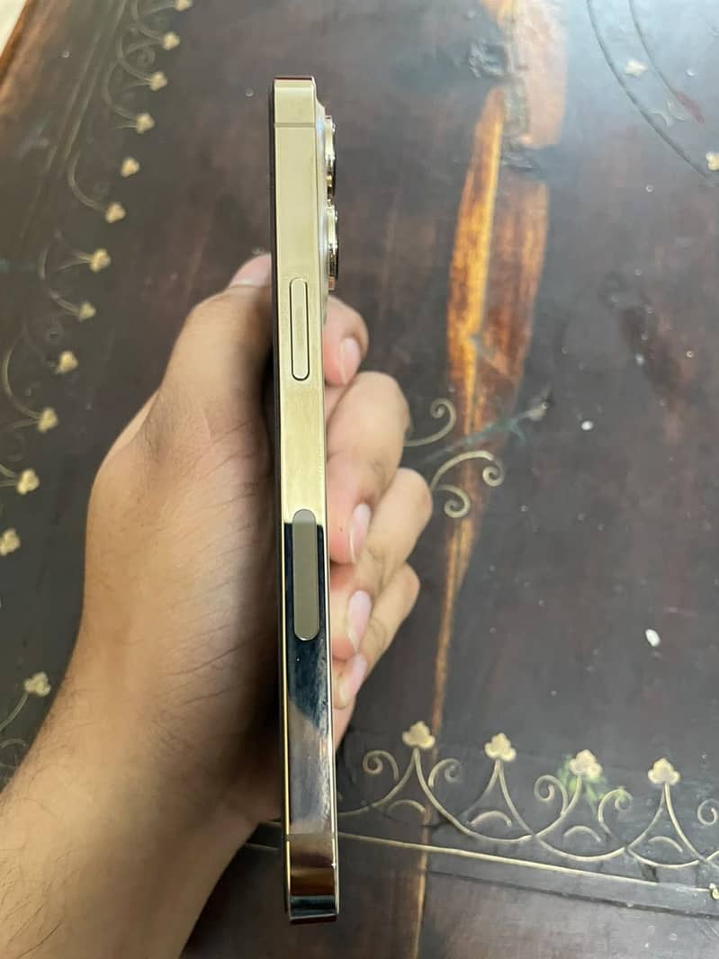 Apple iPhone 13 Pro 0