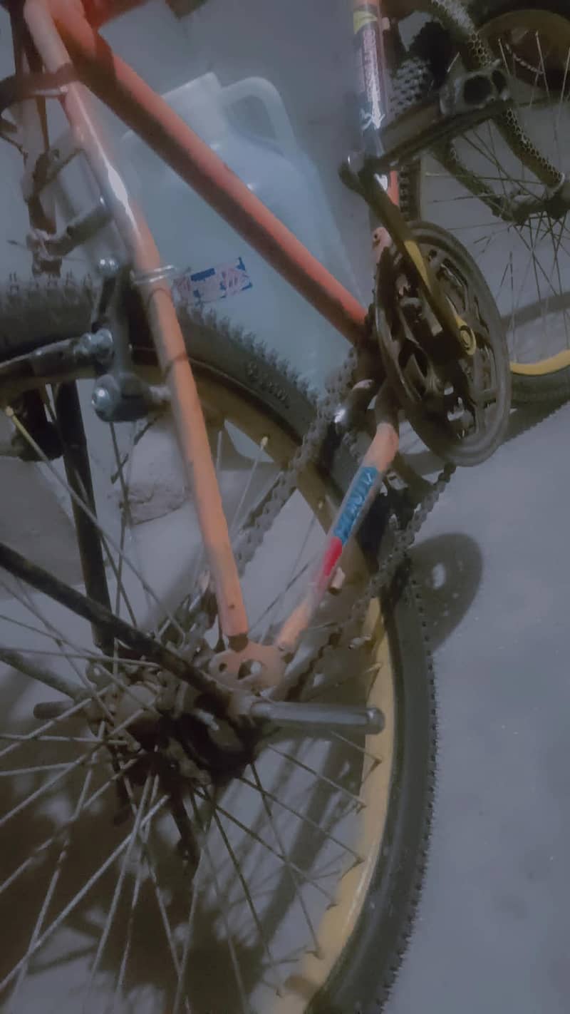 cycle 1