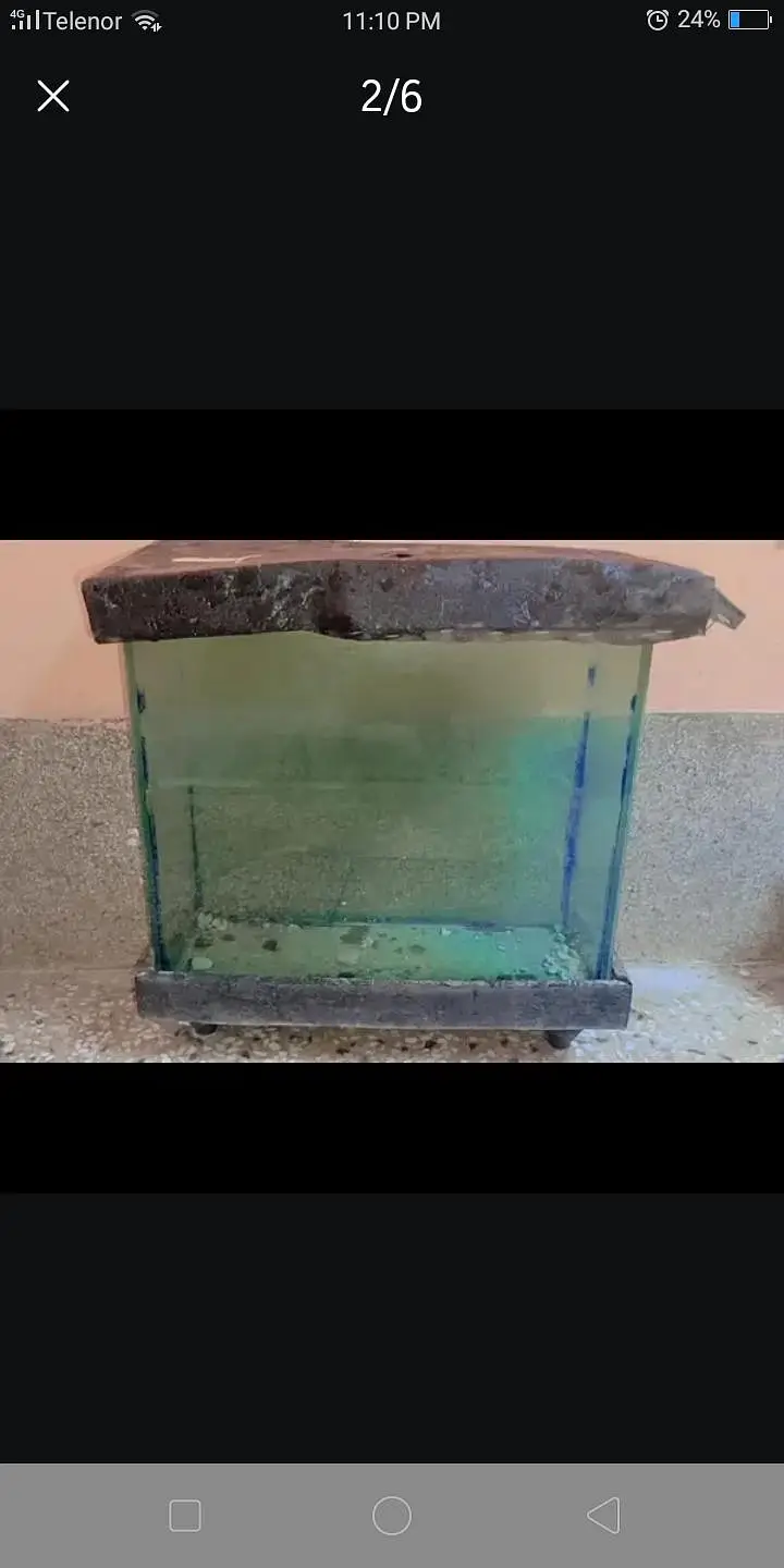Fish Aquarium For sale