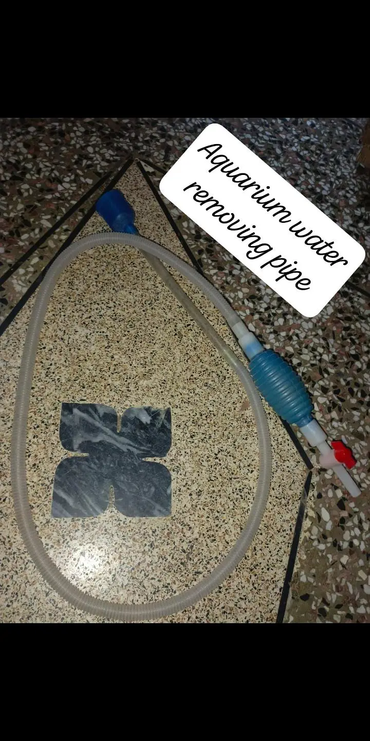 Fish Aquarium For sale — photo 4