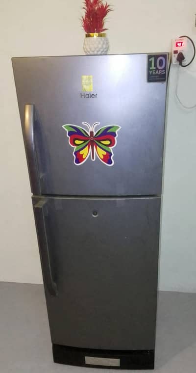 For sale Hair refrigerator Geneine condition medium small size