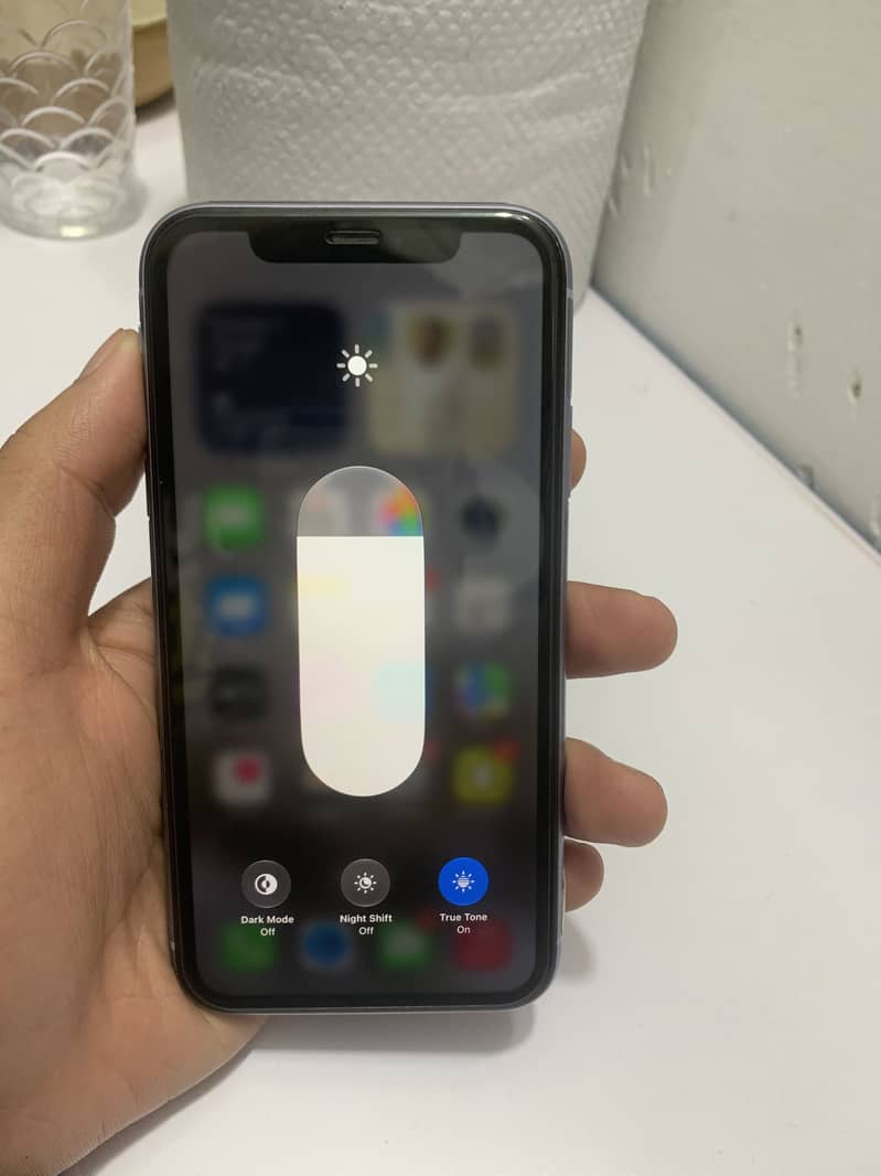Apple iPhone 11 1