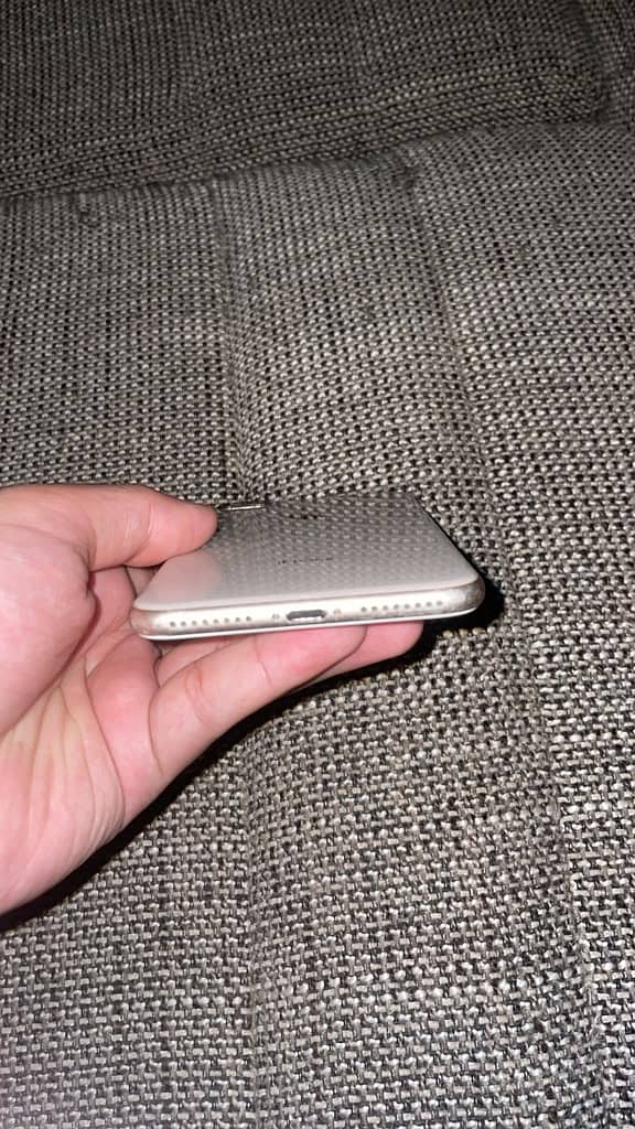 Apple iPhone 8 Plus 3