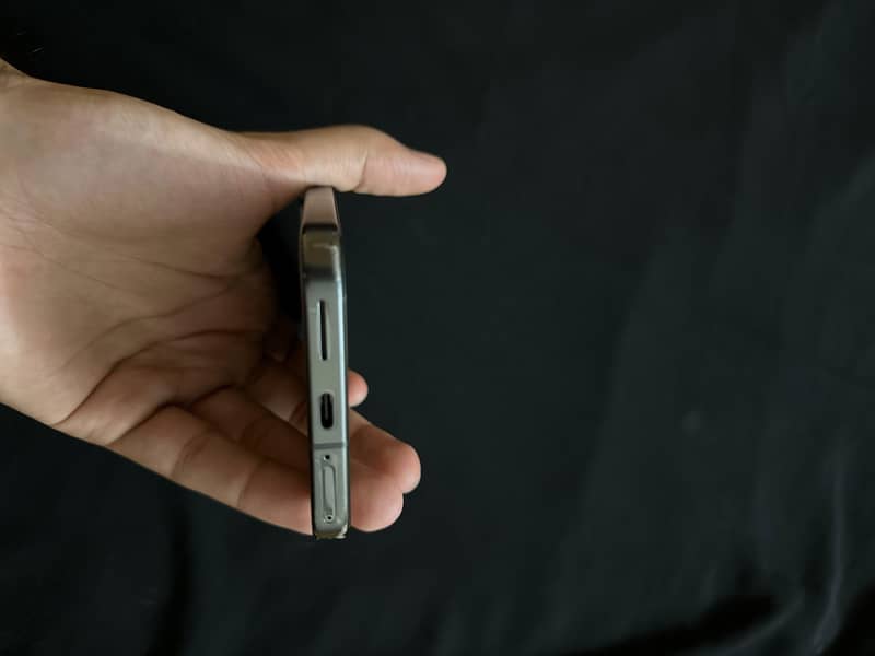 Google Pixel 9 Pro XL 1