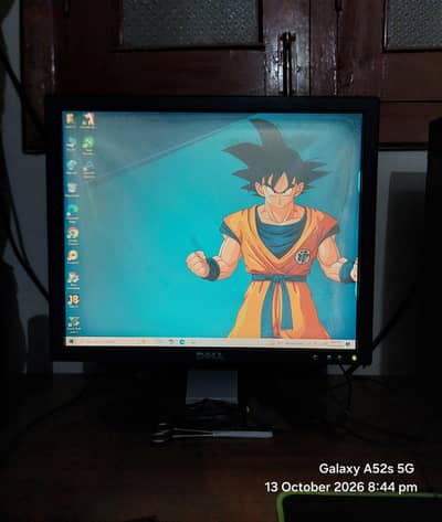 Dell LCD Monitor