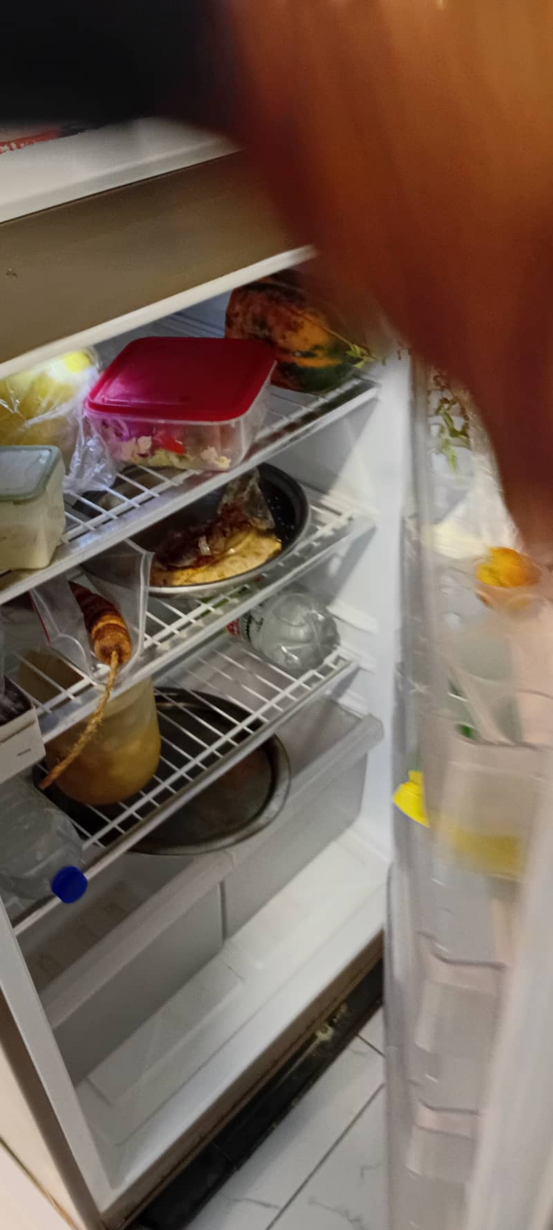Pel refrigirator fridge 4