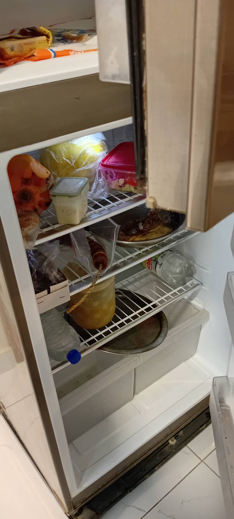 Pel refrigirator fridge 5