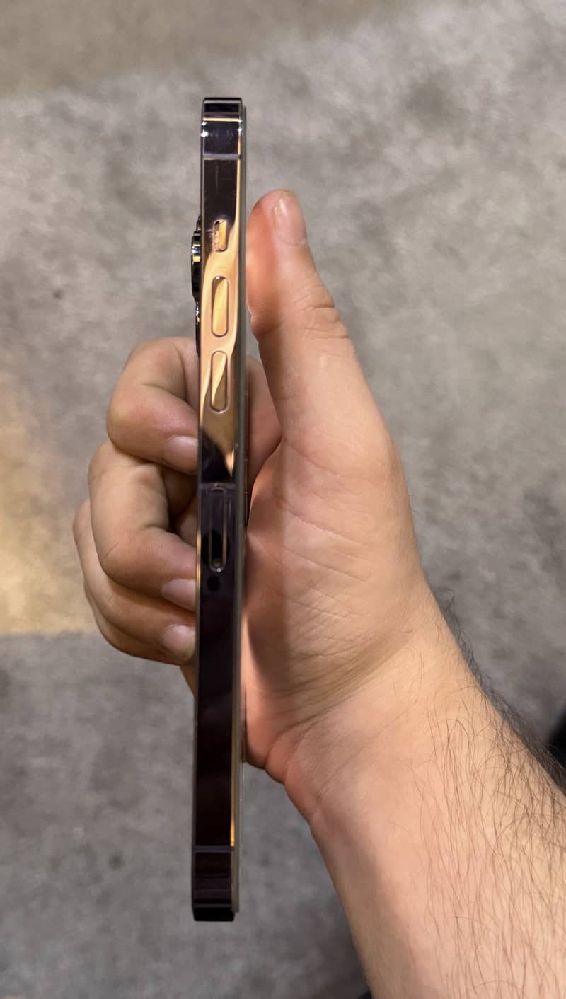 Apple iPhone 14 Pro Max 2