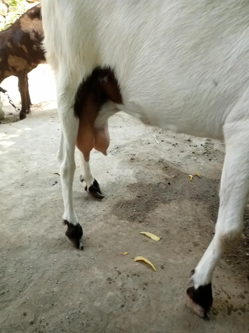 navabshah — photo 3