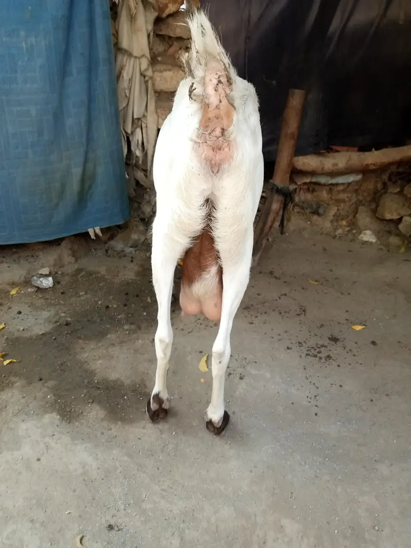 navabshah — photo 4