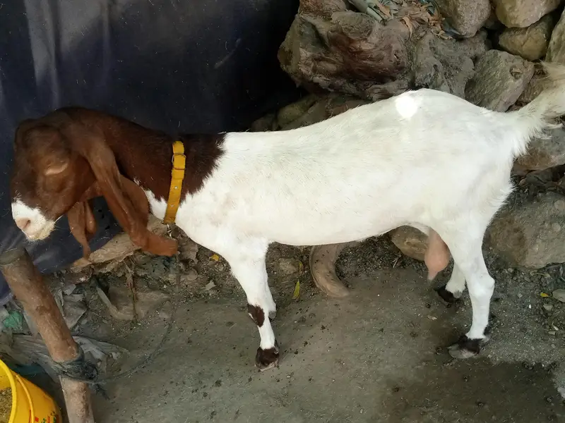 navabshah — photo 5