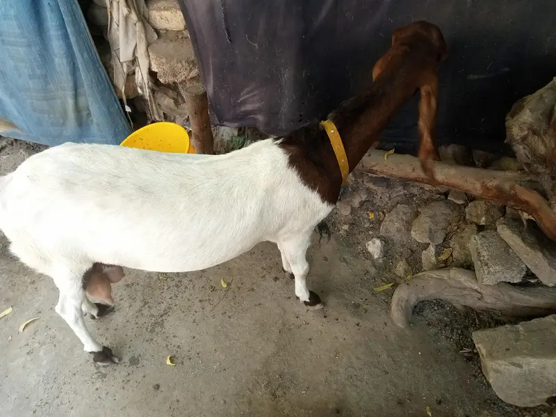 navabshah — photo 6