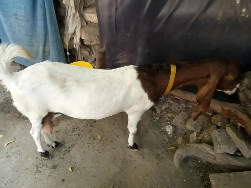 navabshah — photo 7