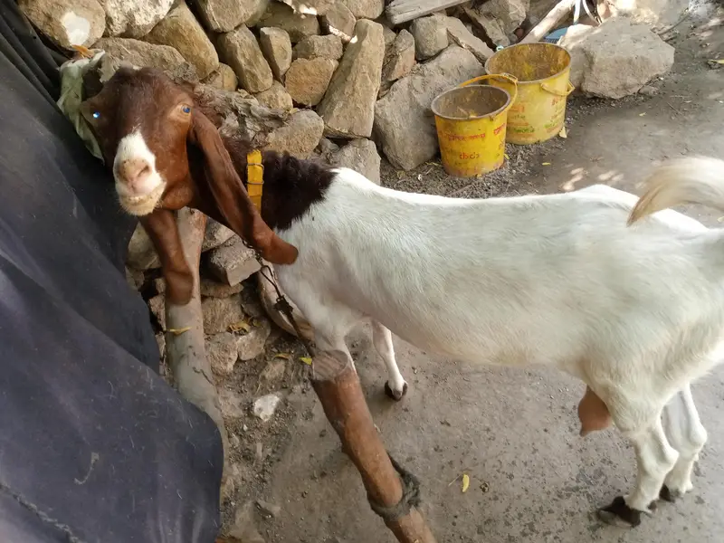 navabshah — photo 9