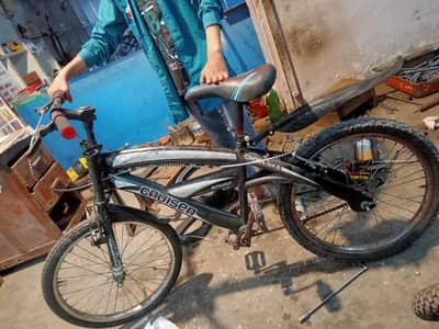 cruiser cycle
