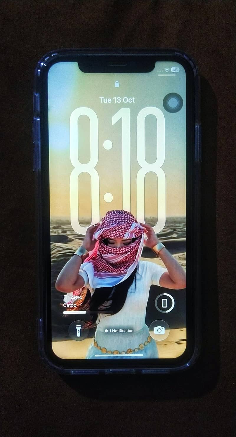 Apple iPhone 11 1