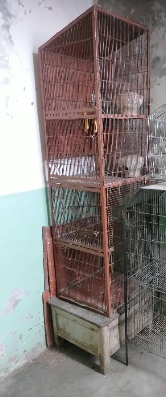 big cage 0