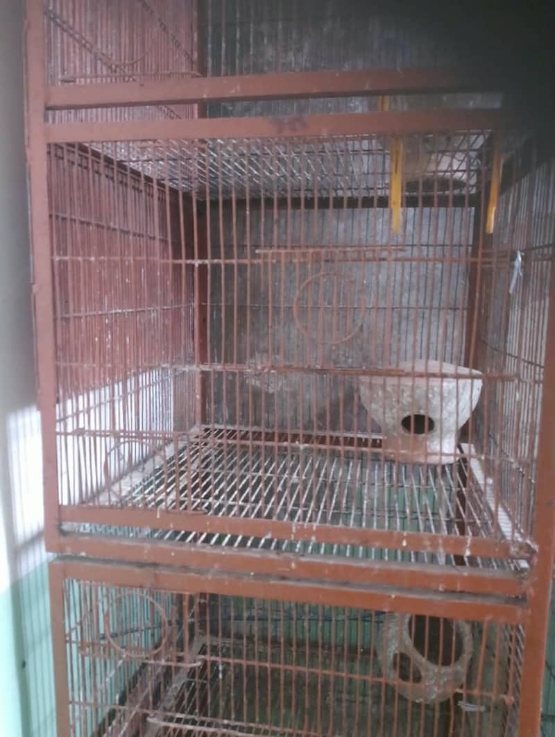 big cage 2