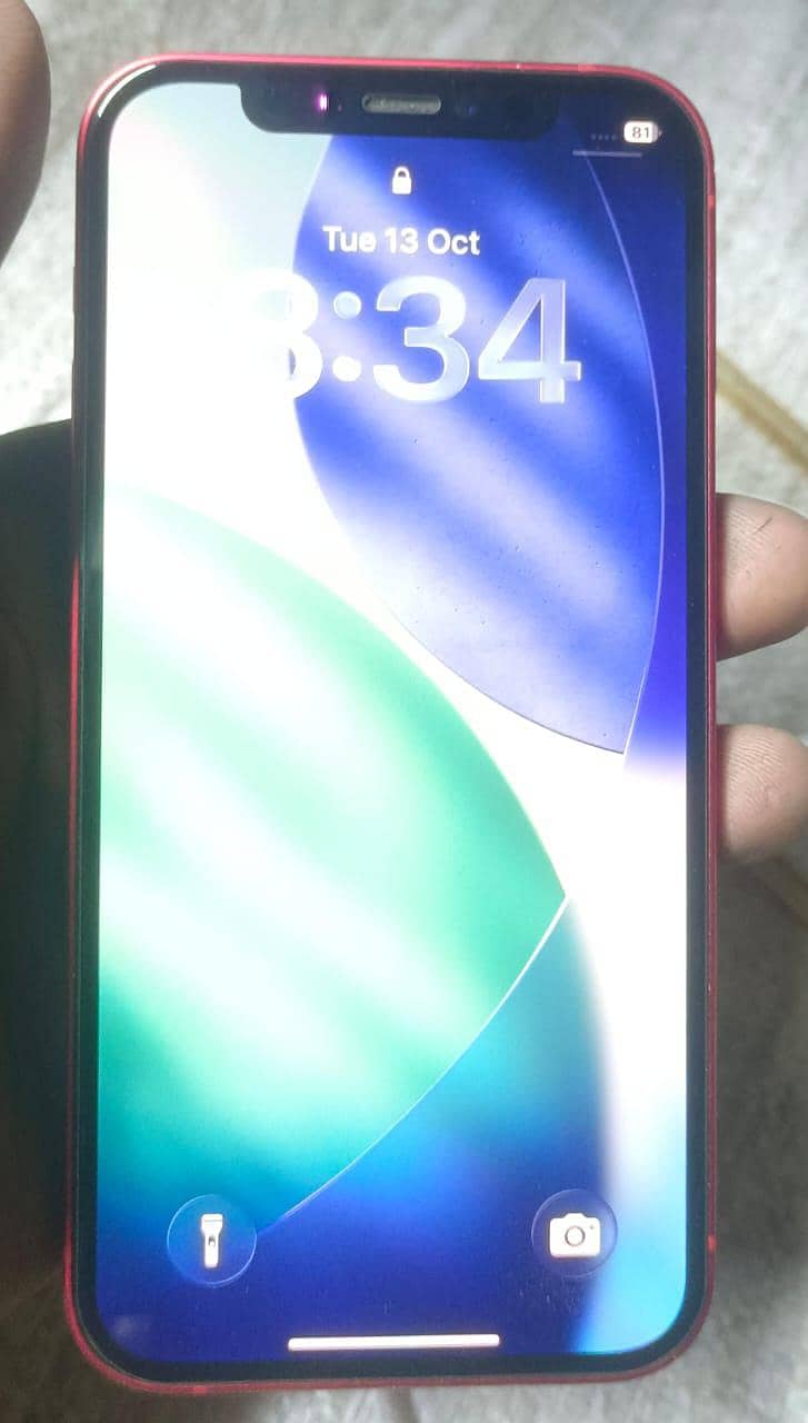 Apple iPhone 12 1