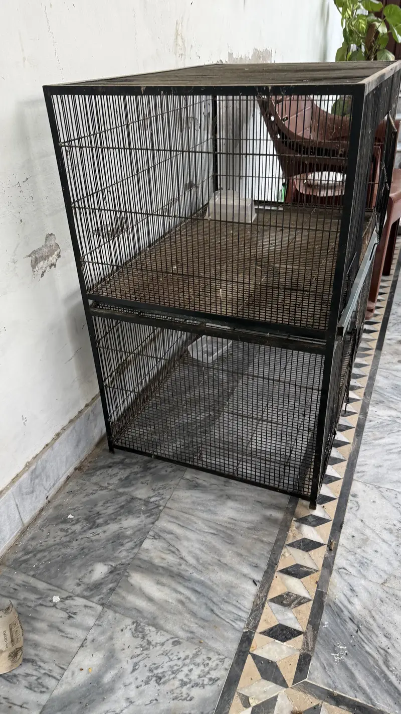 Animal cage/pinjra for birds and hens — photo 2