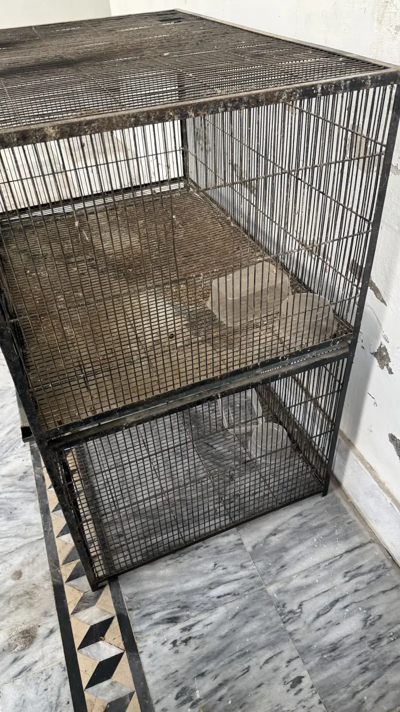 Animal cage/pinjra for birds and hens — photo 3