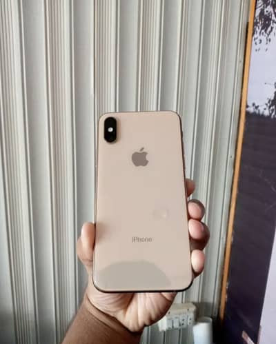 Apple Iphone Xs [All Exchange Possible]