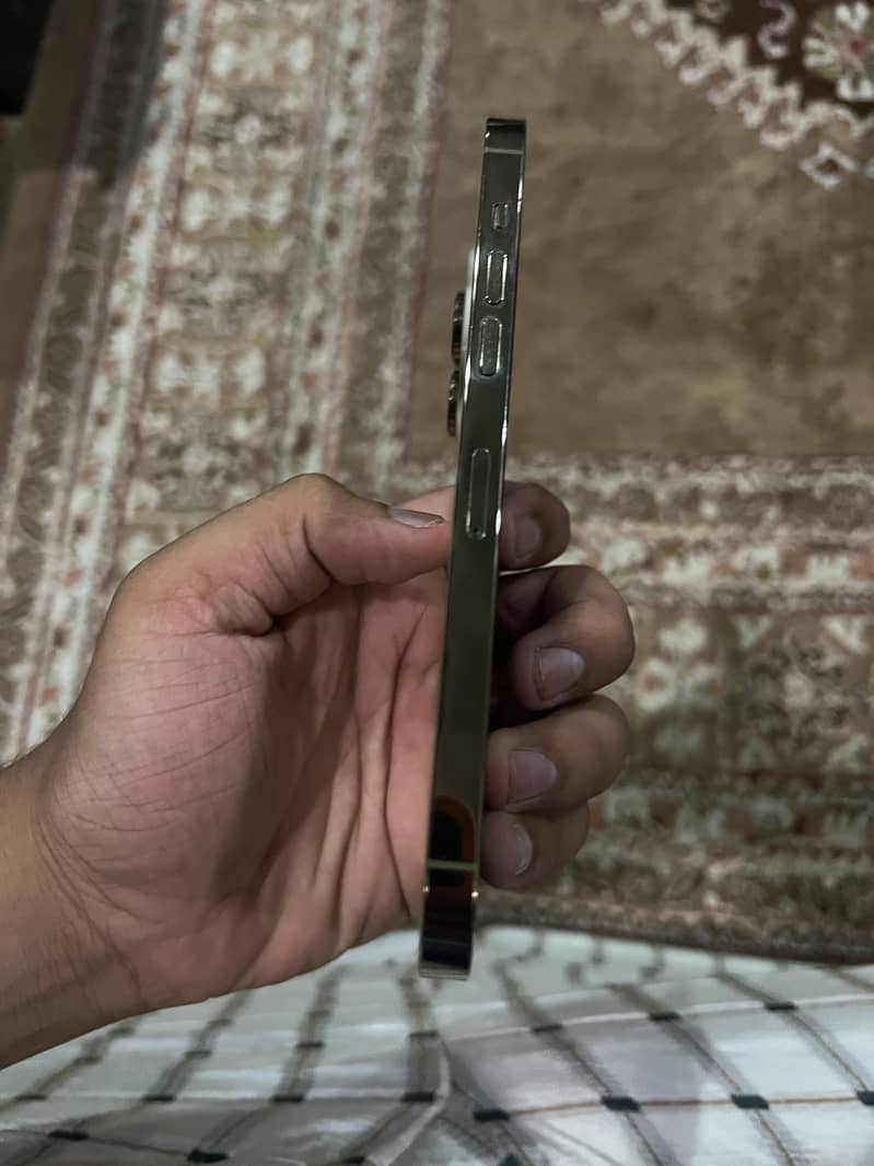 Apple iPhone 14 Pro Max 1