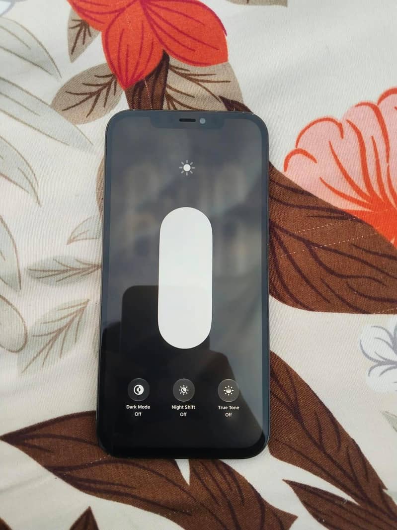Apple iPhone 12 Pro Max 0