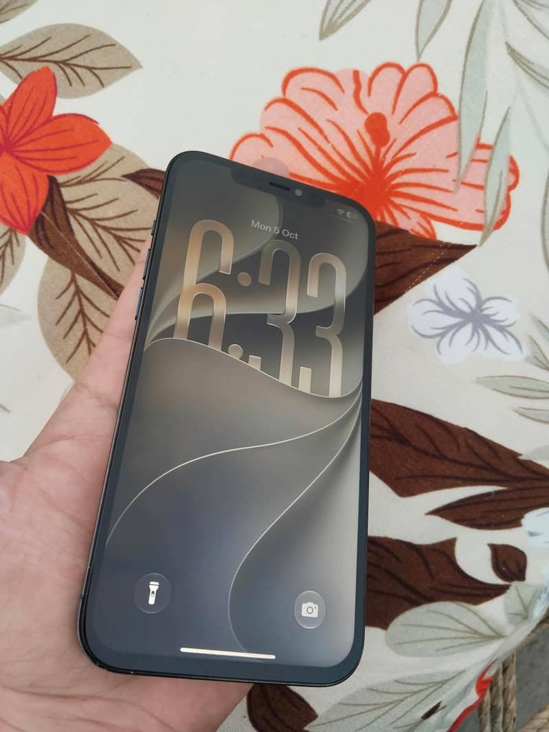 Apple iPhone 12 Pro Max 1