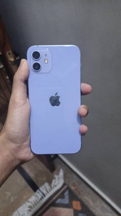 Apple iPhone 12