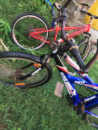 Gear wali cycle excahged possible any thing birds animal