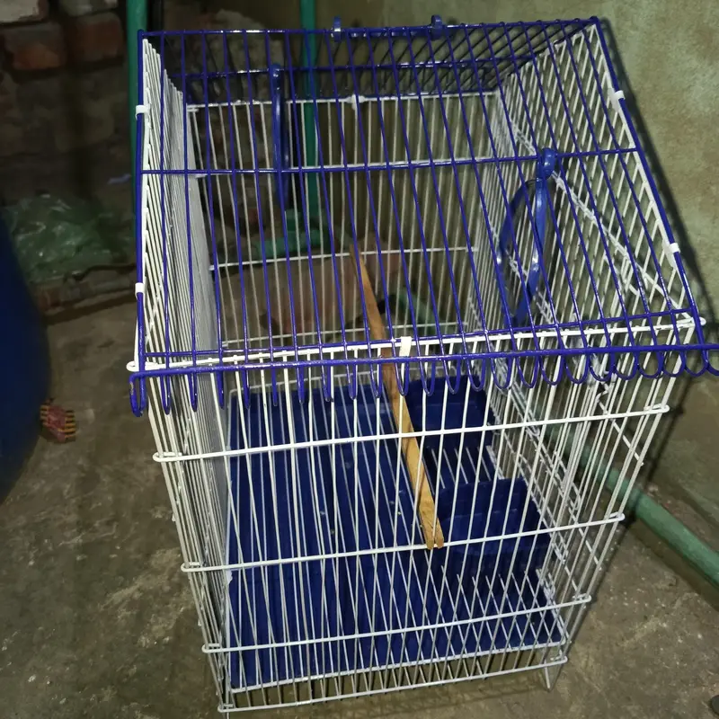 Cage 1.5 by 1.5 Hut Design — photo 2