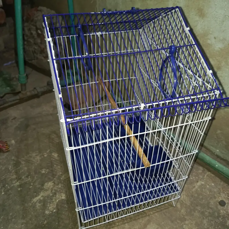 Cage 1.5 by 1.5 Hut Design — photo 3