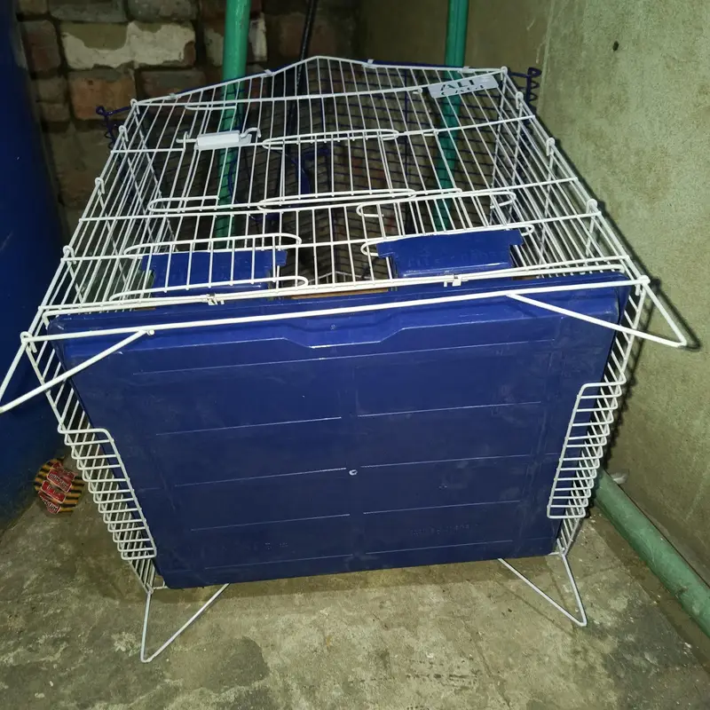 Cage 1.5 by 1.5 Hut Design — photo 4