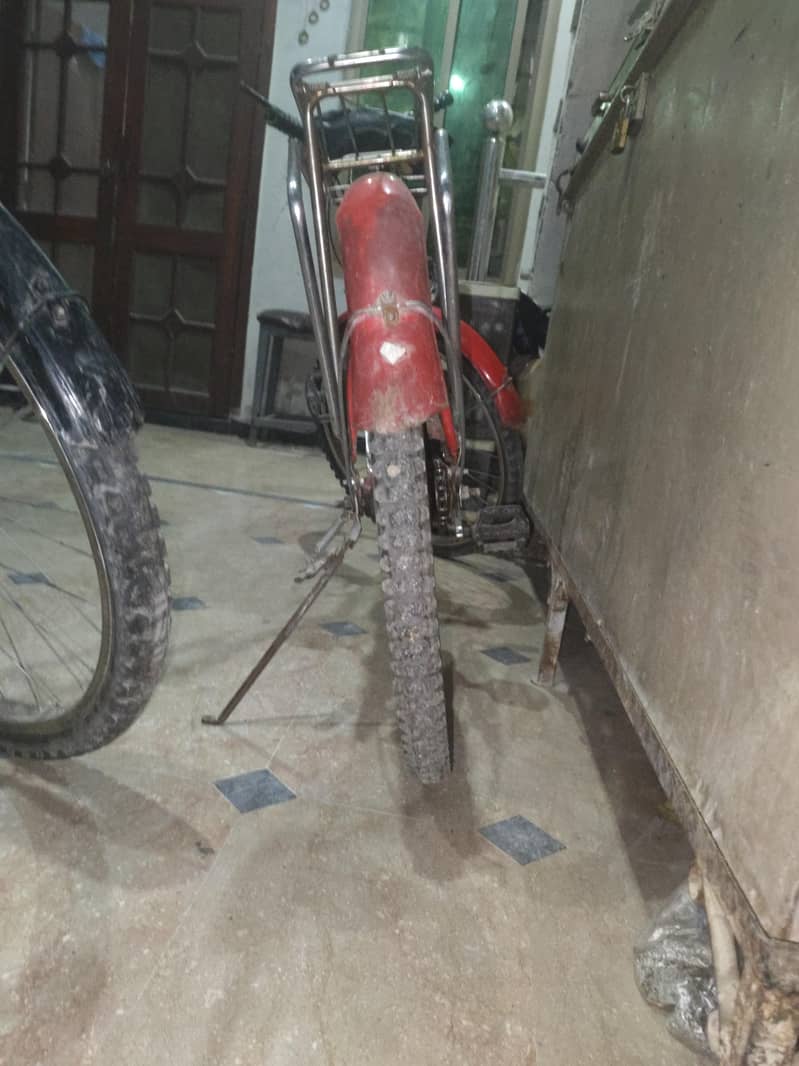 full size bycycle 1