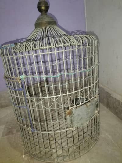 Large Parrot Cage for Sale