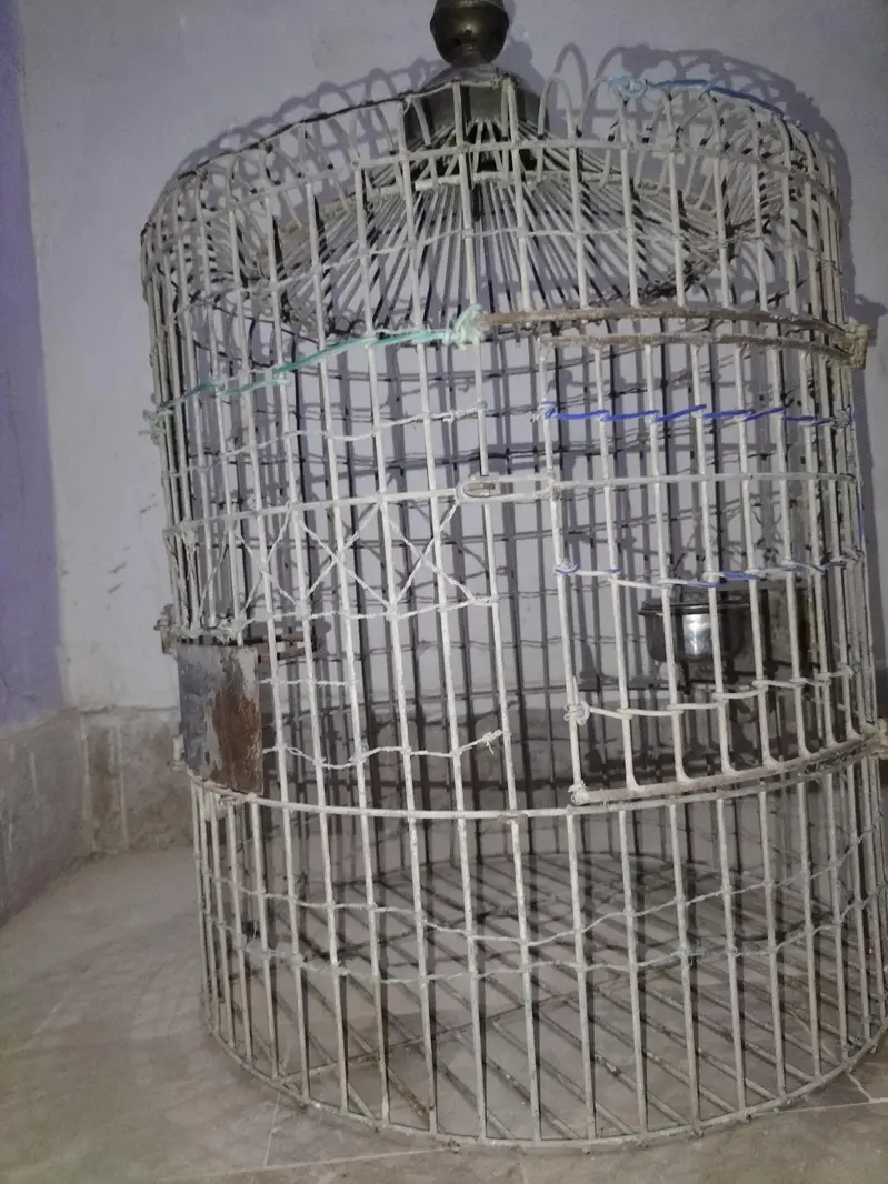 Large Parrot Cage for Sale — photo 2
