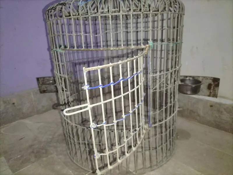 Large Parrot Cage for Sale — photo 3