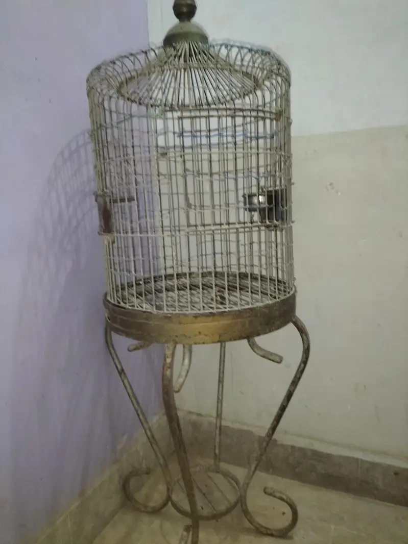 Large Parrot Cage for Sale — photo 5