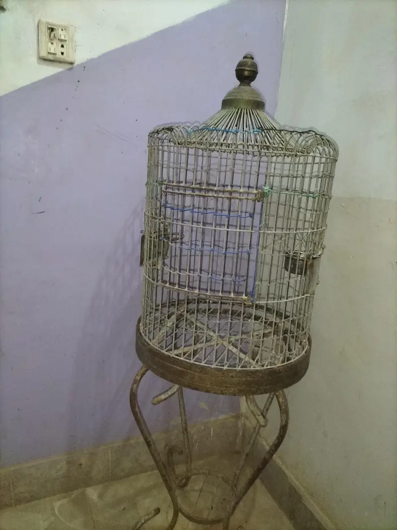 Large Parrot Cage for Sale — photo 6