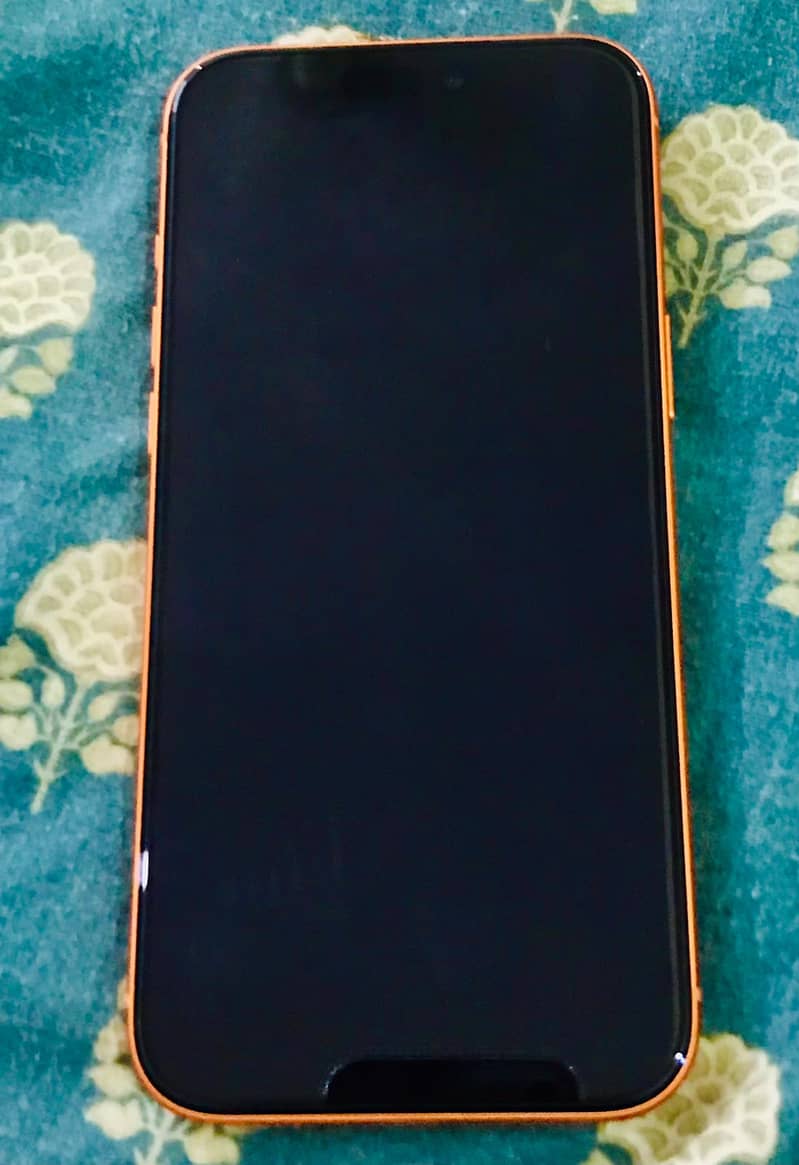 Apple iPhone 17 Pro Max 1