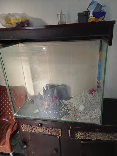 fish aquarium condition 10/10 size 2.5×4 with shower