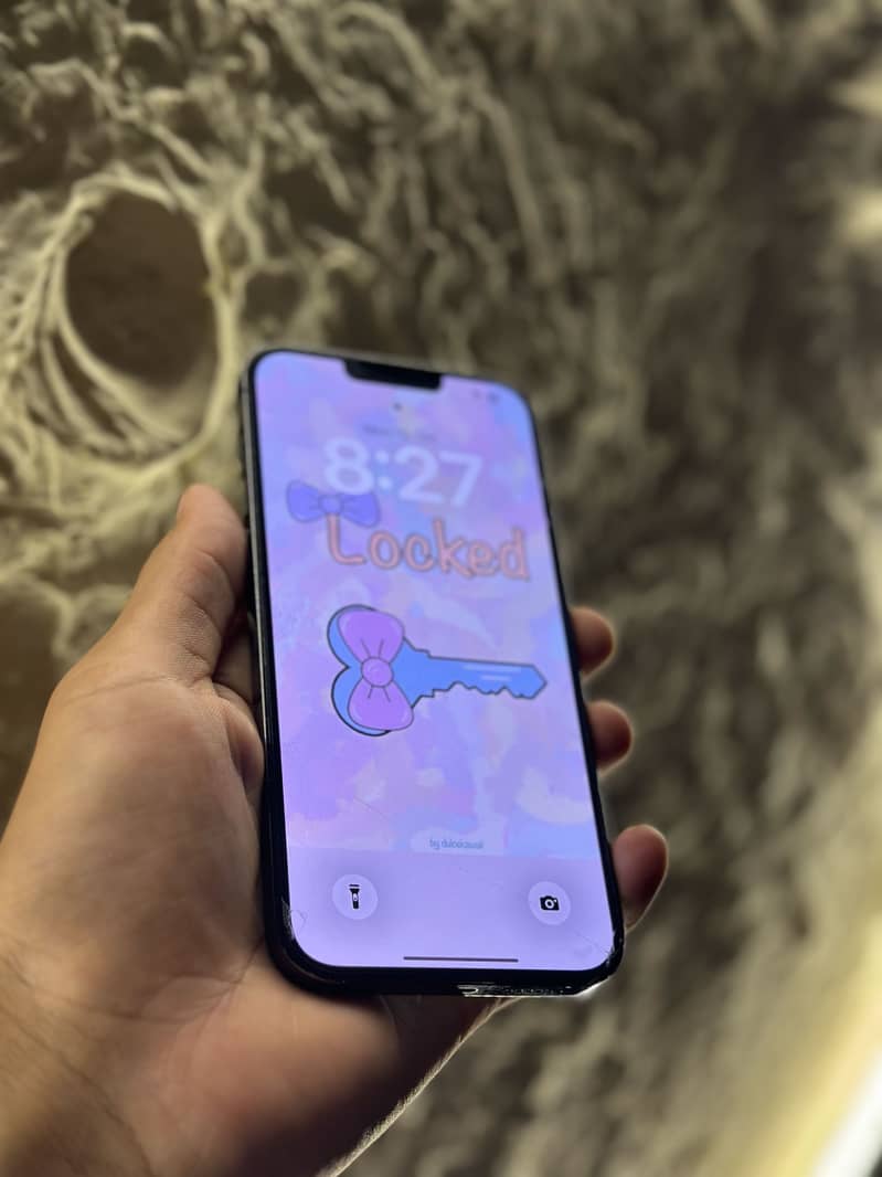 Apple iPhone 13 Pro Max 3