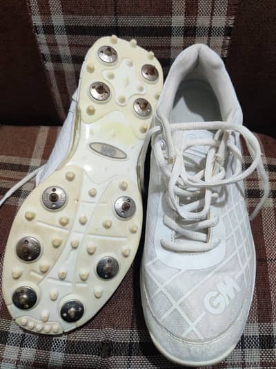 GM cricket spikes sports