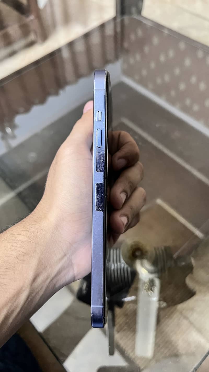 Apple iPhone 13 Pro Max 1