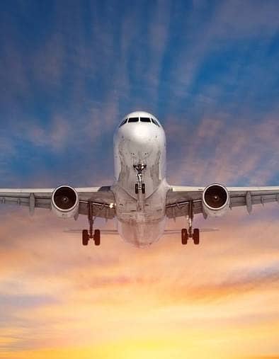 Cabin Crew