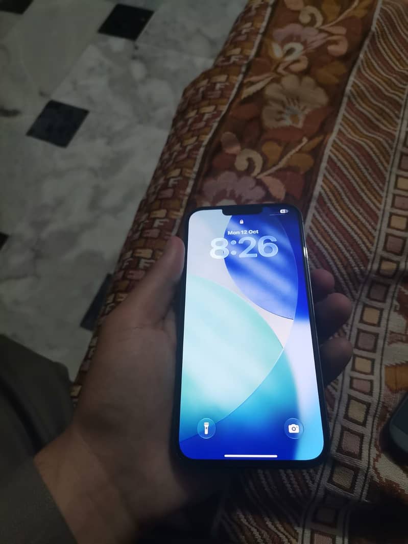 Apple iPhone 13 Pro Max 1