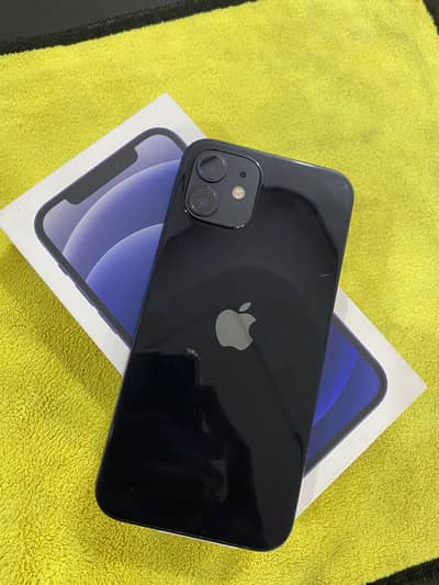 I phone 12
