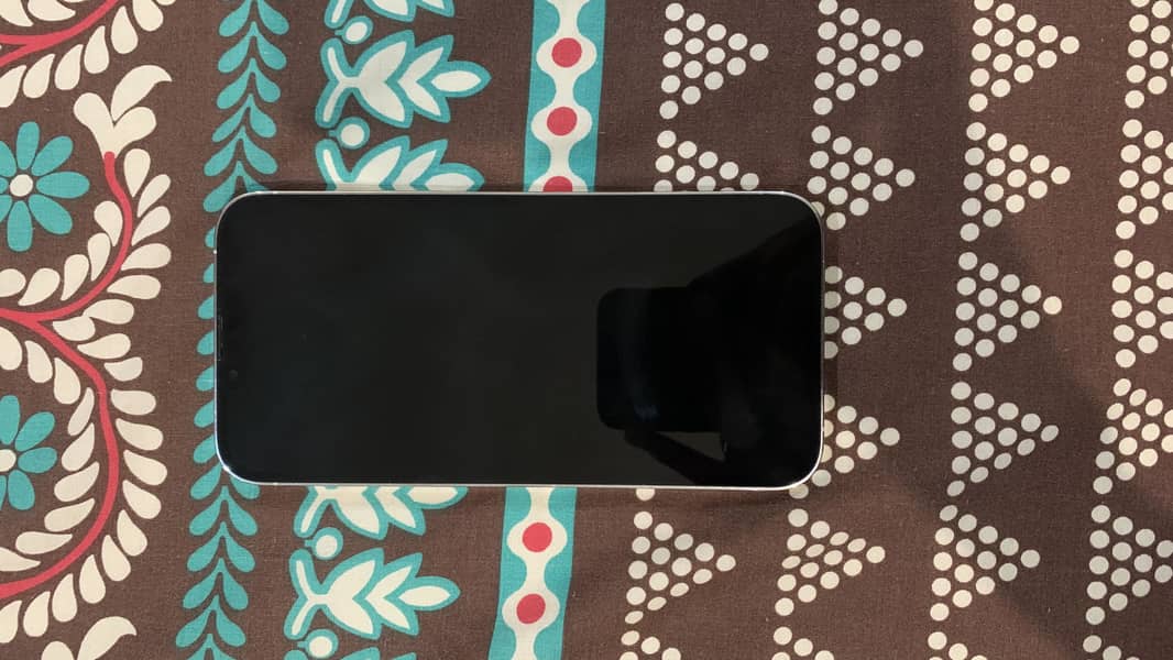 Apple iPhone 13 Pro Max 1