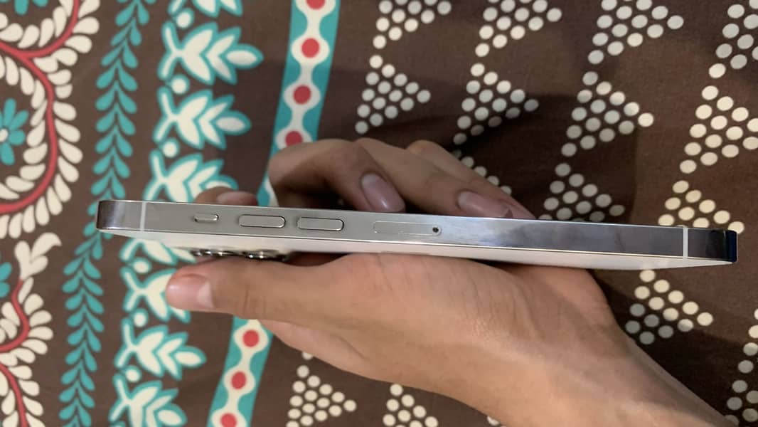 Apple iPhone 13 Pro Max 3